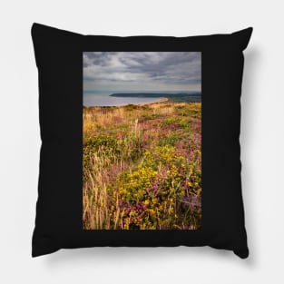 Oxwich Bay from Cefn Bryn, Gower Pillow