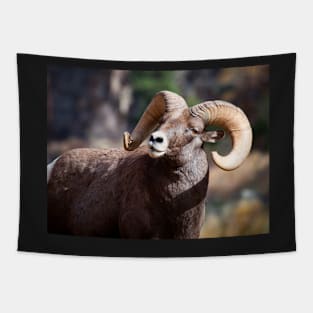 Bighorn Sheep Tapestry