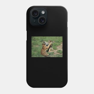 Tiger Cubs Phone Case