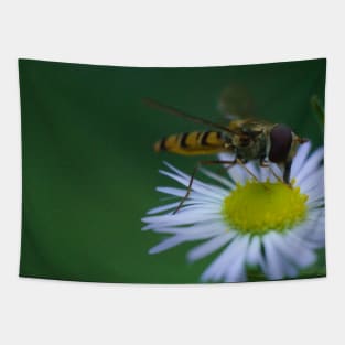 Hover-fly On Daisies Tapestry