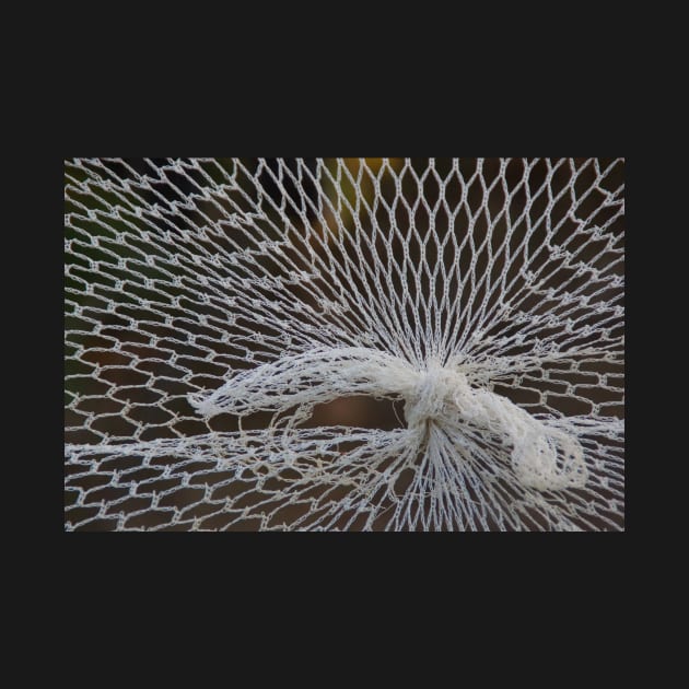 Knot in a Net  by Avril Thomas at Magpie Springs by MagpieSprings