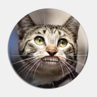 Cat with human baby teeth saying 'Howdy!' Pin