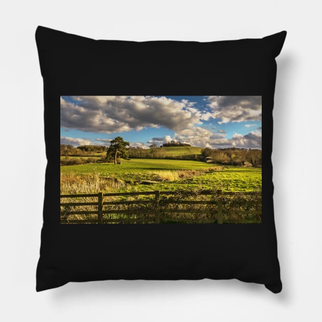 Round Hill From Little Wittenham Pillow by IanWL