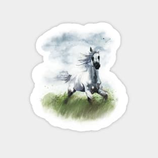 Watercolor horse Magnet