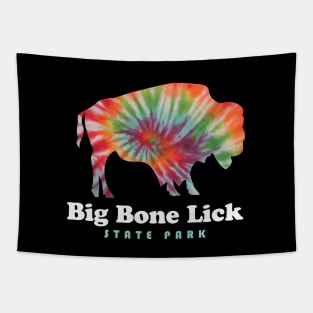 Big Bone Lick State Park Kentucky Bison Tie Dye Fossils Tapestry