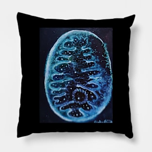 Mitochondrial structure Pillow