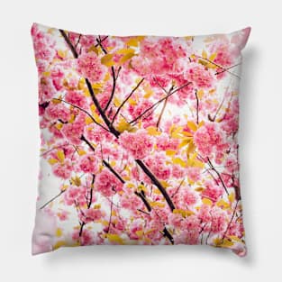 SCENERY 33 - Pink Blooming Flower Yellow Blossom Pillow