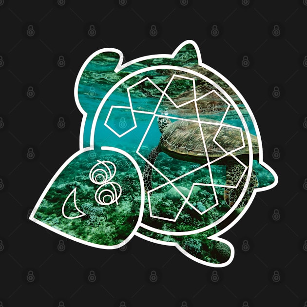 Save the turtle by Aurealis