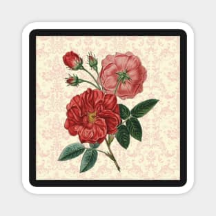 Rose Art Vintage Pink & Red Rose Design on Blush Pink, Cream Damask Pattern Magnet