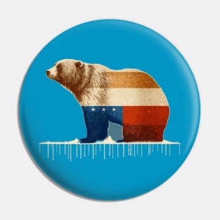 Ursus arctos, symbol of Alaska, in the colors of the American flag Pin