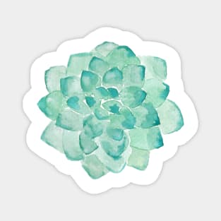 Watercolor Succulent print in seafoam green Magnet