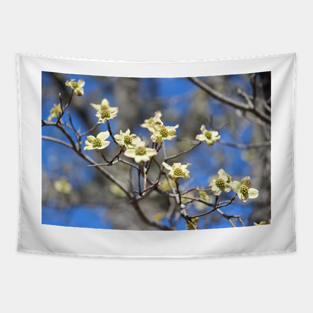 Dogwood In Bloom Tapestry by Cynthia48