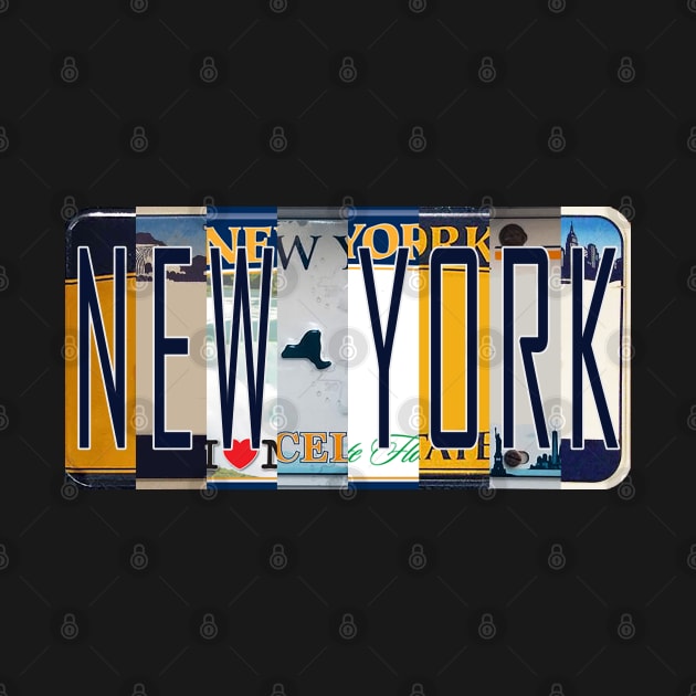 New York License Plates by stermitkermit