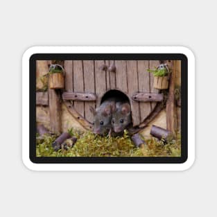 George the mouse in a log pile house - double trouble Magnet