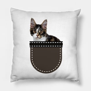 Calico Kitten in Pocket Pillow