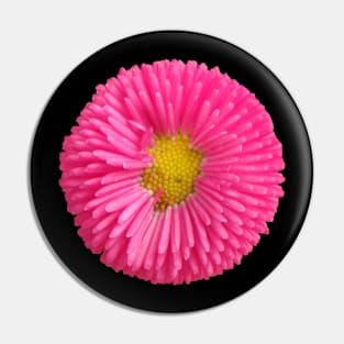 pink flower, blooms, flowers, nature Pin