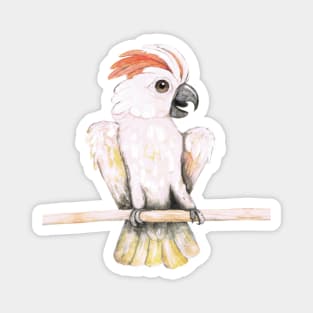 Salmon-crested cockatoo Magnet