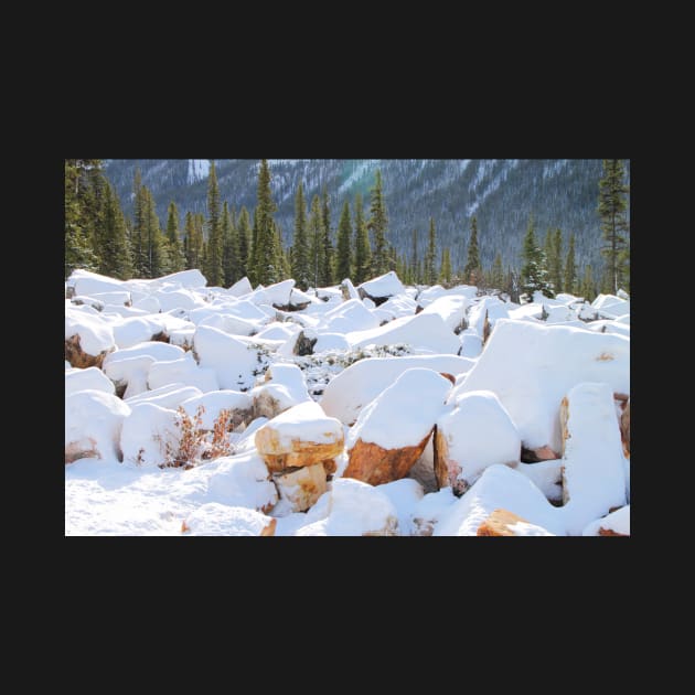 Among the Rocks: Autumn Snow in The Rockies by Carole-Anne