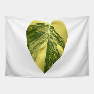 Colorful Variegated Monstera Deliciousa Aurea Design Tapestry