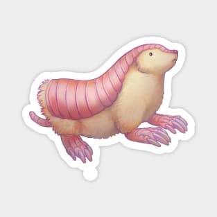 Pink Fairy Armadillo Magnet