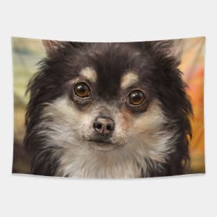 Cute Furry Brown and White Chihuahua on Orange Background Tapestry