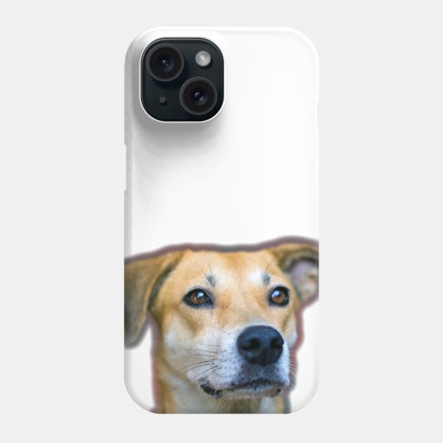 love dog Phone Case by rickylabellevie