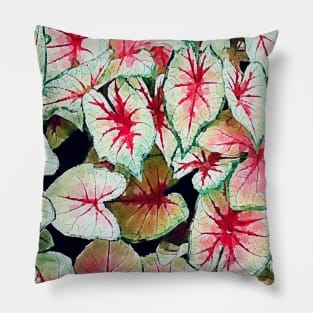 Caladium bicolor leaves Pillow