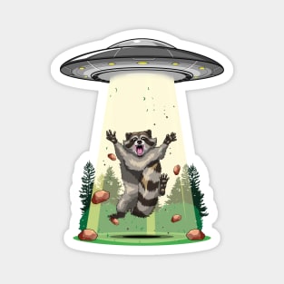 Cosmic Bandit: Raccoon's Galactic Adventure Magnet