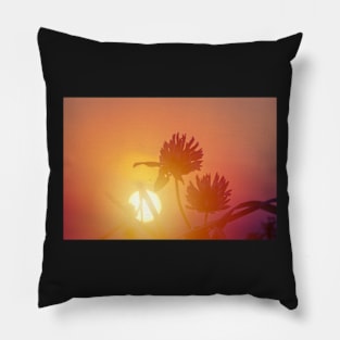 Winter meadow at sunrise Pillow