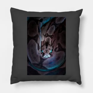 Serpent Pillow