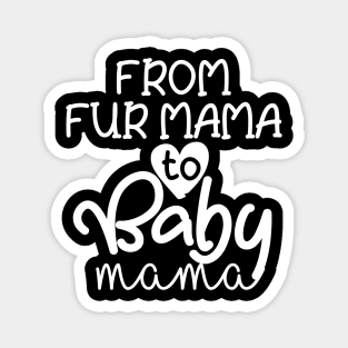 From Fur Mama to Baby Mama Magnet
