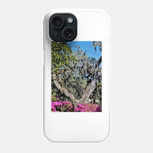 Split Tree Beauty Phone Case