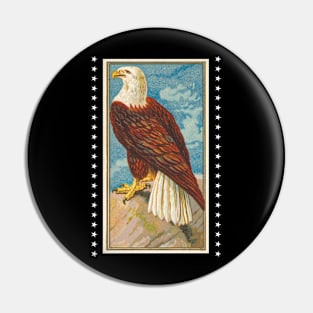 Vintage Eagle Illustration Pin