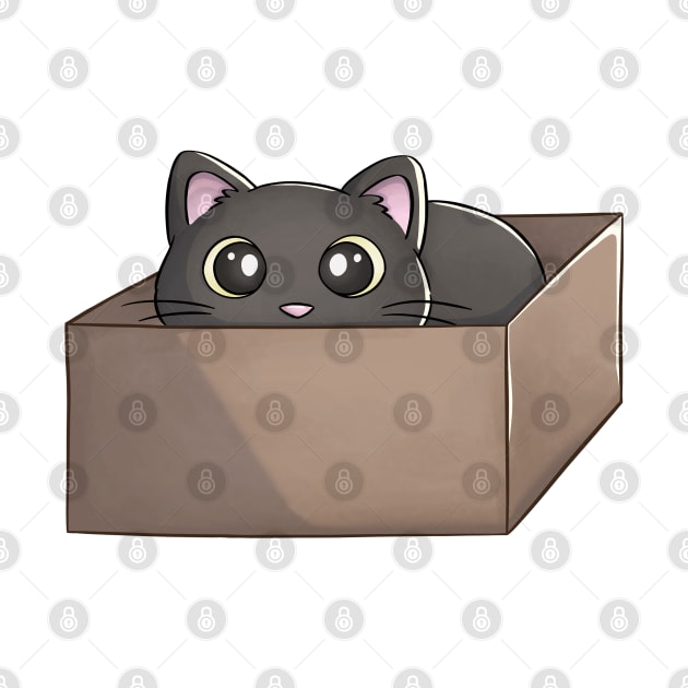 Black Cat In A Box by Meowrye