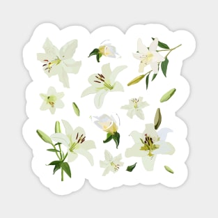 White Lilies Magnet