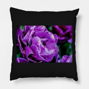 tulips Pillow