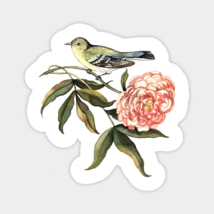 Watercolor bird and flower peony Magnet