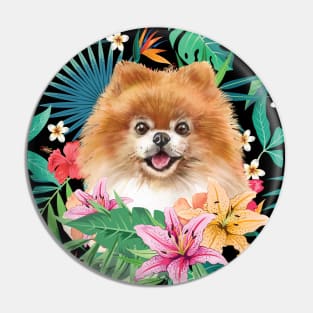 Tropical Pomeranian 4 Pin