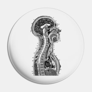 Upper Body Diagram - Vintage Anatomy Pin