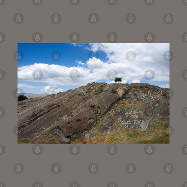 Looking towards a solitary green tree on a cliff by nancy.hajjar@yahoo.com