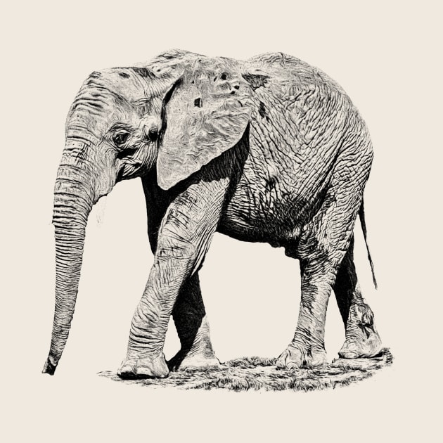 African elephant by Guardi