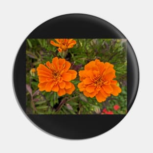 Pair of Orange Flowers Photographic Image Pin