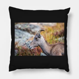 Rocky Mountain Bighorn Pillow