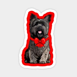 Cairn Terrier Dressed for the Holidays Magnet