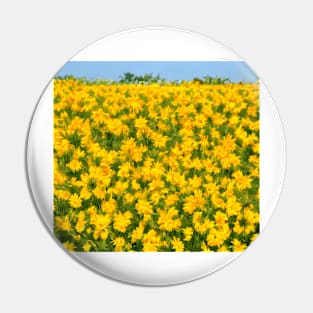 Yellow Spring Flowers Pin