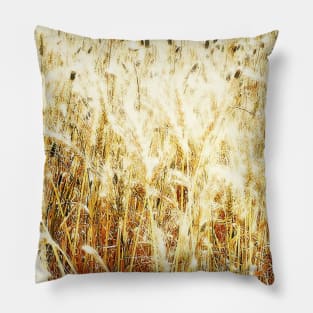 Field, crops, fields, spring, summer, rural, farm, farming, landscape, nature, botanical, farms, leaves, wheat, barley, gold, orange yellow, graphic-design, digital, photography, Pillow