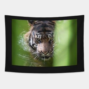 Tiger Eyes Tapestry