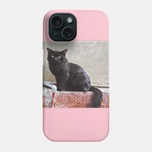 CAT LOVER AND LOVER ART Phone Case