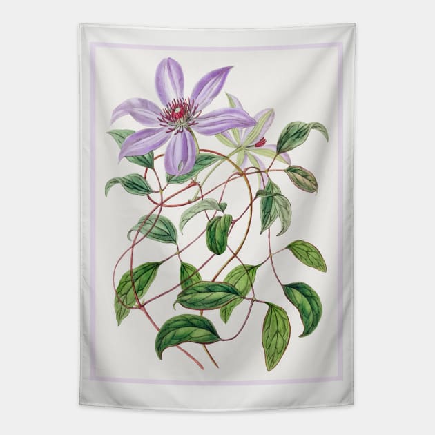 Violet Clematis Flower Branch Tapestry by WAITE-SMITH VINTAGE ART