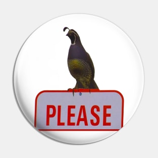 PLEASE Said the Quail Pin